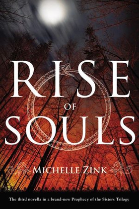 Rise of Souls (ebok) av Michelle Zink