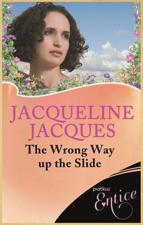 Wrong Way Up The Slide (ebok) av Jacqueline Jacques
