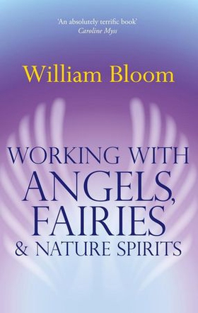 Working With Angels, Fairies And Nature Spirits (ebok) av William Bloom