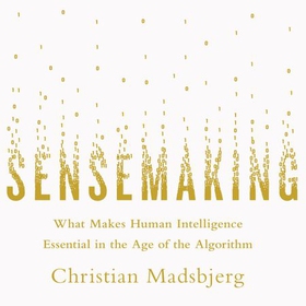 Sensemaking - What Makes Human Intelligence Essential in the Age of the Algorithm (lydbok) av Christian Madsbjerg