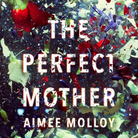 The Perfect Mother - A gripping thriller with a nail-biting twist (lydbok) av Aimee Molloy