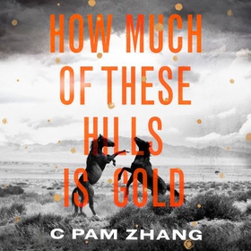 How Much of These Hills is Gold - 'A tale of two sisters during the gold rush ... beautifully written' The i, Best Books of the Year (lydbok) av C Pam Zhang