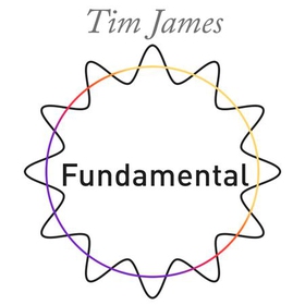 Fundamental - How quantum and particle physics explain absolutely everything (except gravity) (lydbok) av Tim James
