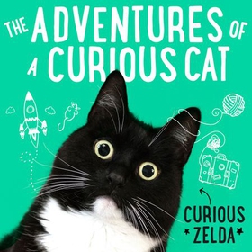 The Adventures of a Curious Cat - wit and wisdom from Curious Zelda, purrfect for cats and their humans (lydbok) av Curious Zelda