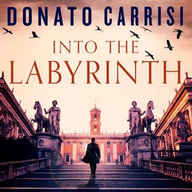 Into the Labyrinth (lydbok) av Donato Carrisi
