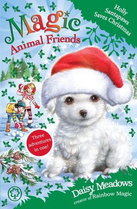 Holly Santapaws Saves Christmas - Special 5 (ebok) av Daisy Meadows