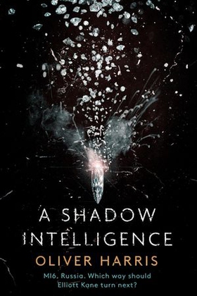 A Shadow Intelligence