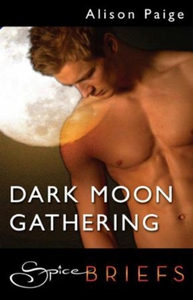 Dark moon gathering (ebok) av Alison Paige