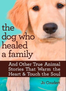 The Dog Who Healed a Family (ebok) av Jo Coud
