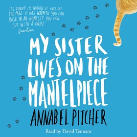My Sister Lives on the Mantelpiece (lydbok) av Annabel Pitcher