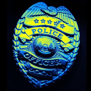 The Cop (ebok) av R.J. Ellory