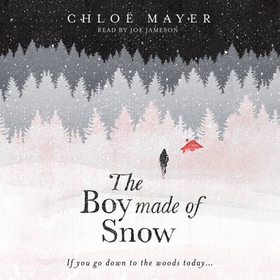 The Boy Made of Snow (lydbok) av Chloe Mayer