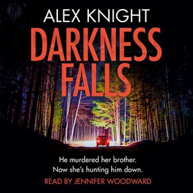 Darkness Falls (lydbok) av Alex Knight