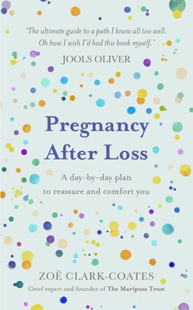 Pregnancy After Loss - A day-by-day plan to reassure and comfort you (ebok) av Ukjent