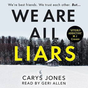 We Are All Liars - The 'utterly addictive' winter thriller with twists you won't see coming (lydbok) av Carys Jones
