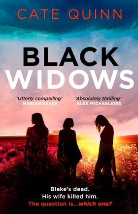 Black Widows - The atmospheric and addictive Mormon murder mystery (ebok) av Cate Quinn