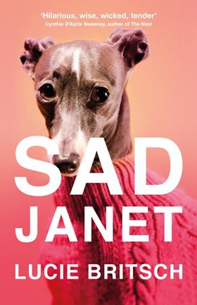 Sad Janet - 'A whip-smart, biting tragicomedy' HuffPost (ebok) av Lucie Britsch