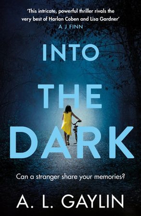 Into The Dark (ebok) av A.L. Gaylin