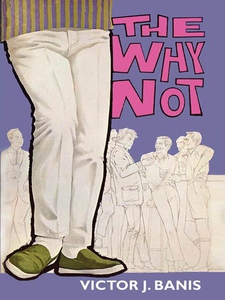 The Why Not (e-bok) av Victor J. Banis