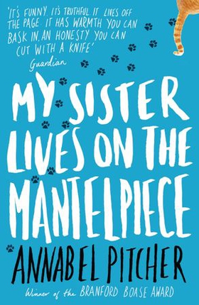 My sister lives on the mantelpiece (ebok) av Annabel Pitcher
