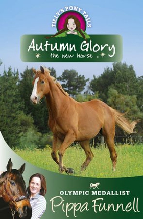 Autumn Glory the New Horse