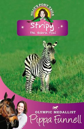 Stripy the Zebra Foal