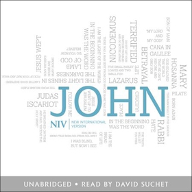 NIV Gospel of John (lydbok) av New International Version