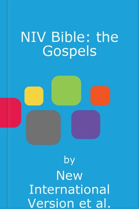 NIV Bible: the Gospels