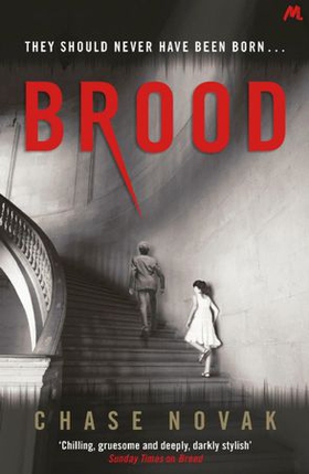 Brood (ebok) av Chase Novak