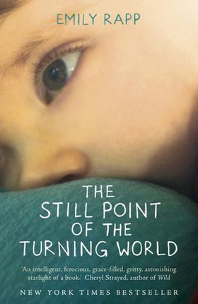 The Still Point of the Turning World (ebok) av Emily Rapp