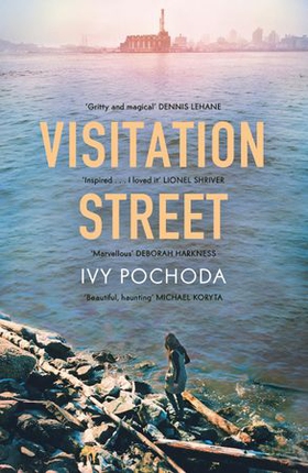 Visitation Street - Two girls disappear on the river. Only one of them comes back (ebok) av Ivy Pochoda