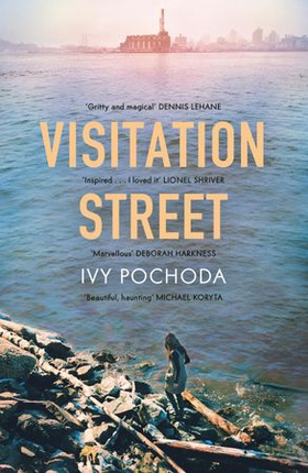 Visitation Street - Two girls disappear on the river. Only one of them comes back (ebok) av Ivy Pochoda