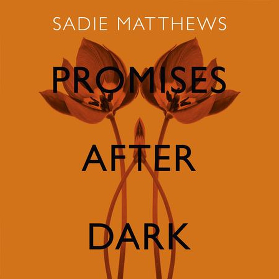 Promises After Dark (After Dark Book 3)