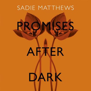 Promises After Dark (After Dark Book 3) (lydb