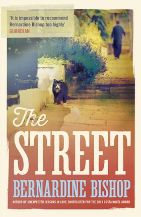 The Street (ebok) av Bernardine Bishop