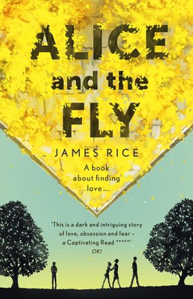 Alice and the Fly - 'a darkly quirky story of love, obsession and fear' Anna James (ebok) av James Rice
