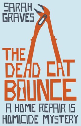 The Dead Cat Bounce (ebok) av Sarah Graves