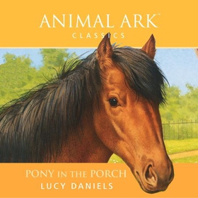 Pony in the Porch (lydbok) av Lucy Daniels