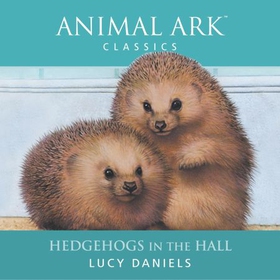 Hedgehogs in the Hall (lydbok) av Lucy Daniels