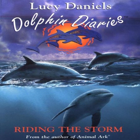 Riding the Storm (lydbok) av Lucy Daniels, Uk