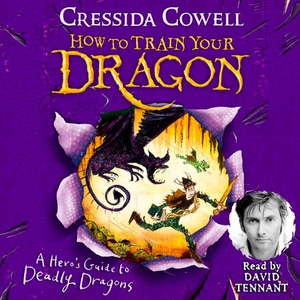 How to Train Your Dragon: A Hero's Guide to D