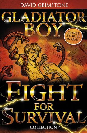 Gladiator Boy: Fight for Survival - Three Stories in One Collection 4 (ebok) av David Grimstone