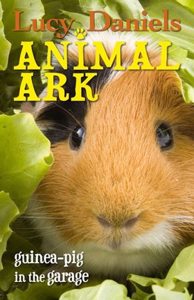 Animal Ark: Guinea-pig in the Garage (ebok) av Lucy Daniels