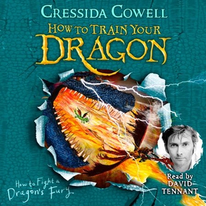 How to Train Your Dragon: How to Fight a Drag