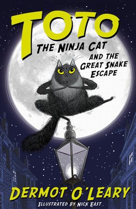 Toto the Ninja Cat and the Great Snake Escape - Book 1 (ebok) av Dermot O'Leary
