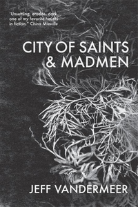 City of Saints and Madmen (e-bok) av Jeff Vande