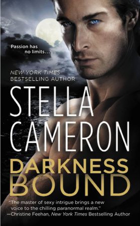 Darkness Bound (ebok) av Stella Cameron