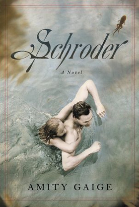 Schroder - A Novel (ebok) av Amity Gaige