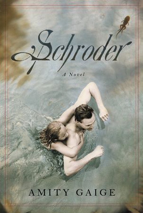 Schroder (ebok) av Amity Gaige