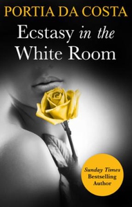 Ecstasy in the White Room (ebok) av Portia Da